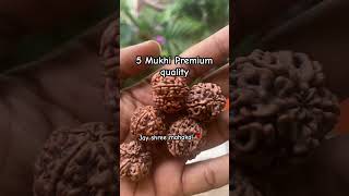 5 Mukhi premium quality shorts short nepal shiv mahakalujjain 5mukhi rudraksh andhrapradesh [upl. by Jolanta]