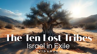 The Ten Lost Tribes Israel in Exile Matthew 1524 Ezekiel 3637 [upl. by Afatsom]