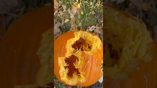 Different calibers VS a pumpkin microdraco fyp youtubeshorts viralvideo edc draco halloween [upl. by Doane790]