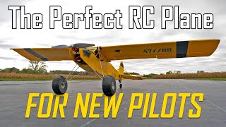 Beginner friendly RC Plane  FliteTest Storch [upl. by Holli509]