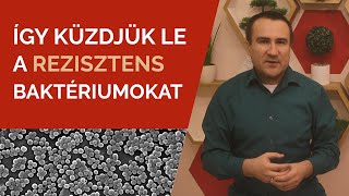 Így küzdjük le a rezisztens baktériumokat [upl. by Natam]