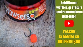 Atelier Echilibrare wafters si sfaturi in umectarea peletelor [upl. by Adlez]