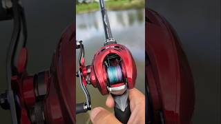 2019 Daiwa Admira 100HL มีดีที่สีสวยเลยรุ่นนี้ shots fishing shortvideo [upl. by Safoelc]