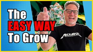 First Time Cannabis Growers Are CRUSHING IT with THESE Three Tips [upl. by Zacarias277]