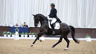 Fame III winning the PSG FREESTYLE at Bury Farm on 7117 [upl. by Huggins]