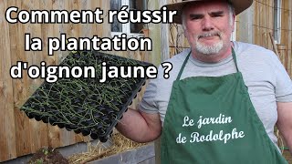 Comment réussir la plantation des micromottes doignon jaune  Découvrez les secrets au potager [upl. by Mccutcheon413]