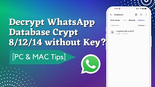 How to Decrypt WhatsApp Database Crypt 81214 without Key？ [upl. by Naehgem370]