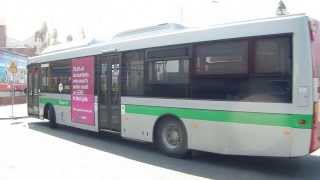 Buses of Transperth in Fremantle WA [upl. by Thane]