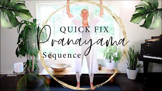 3 min Quick Fix Pranayama with Happy Hanna [upl. by Ahsatin]