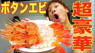 超豪華！大量のボタンエビ海鮮丼！ [upl. by Ehrsam694]