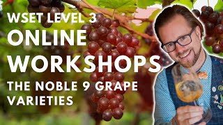 🍷 Explore the Noble Nine Grape Varieties with Our Live Online Workshop Series 🍇 [upl. by Haeel51]