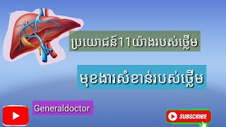 មុខងារថ្លេីម liver function ផលប្រយោជន៍11យ៉ាងរបស់ថ្លេីម [upl. by Uchida814]