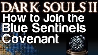 How to Join the Blue Sentinels Covenant  Dark Souls 2 Protector Covenant Achievement [upl. by Finbar]