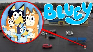 Drone Catches BLUEY BINGO BANDIT AND CHILLI IN REAL LIFE BLUEY HEELER FAMILY [upl. by Baten]