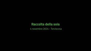 Raccolta della soia  4 novembre 2024 [upl. by Luhe]