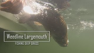 Fishing Deep Weeds for LARGEMOUTH BASS [upl. by Nomzed]