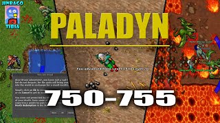 Tibia  Paladyn Liczymy do 4 i zbieramy robale  odc37 Nowa Przygoda [upl. by Aleacin]