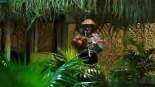 Singing Airport guy in Rarotonga [upl. by Beckman]