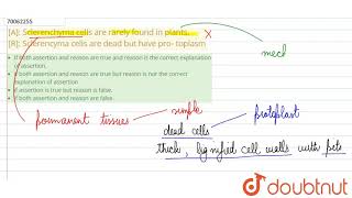 A Sclerenchyma cells are rarely found in plants R Sclerencyma cells are dead but have pro [upl. by Enaols]