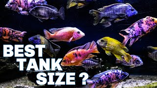 African Cichlids  Which Tank Size Should You Get [upl. by Prudhoe]