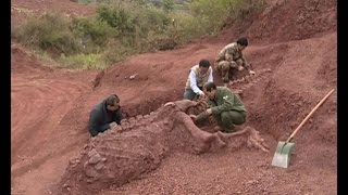 180 mlnyearold dinosaur fossils discovered in SW China [upl. by Leontine46]