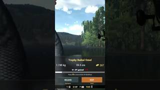 Fishing Planet Catching Trophy Baikal Omul [upl. by Aimik]