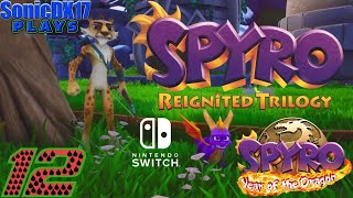 Sunrise Spring  Spyro Reignited Trilogy Switch Part 12  Spyro Year of the Dragon Start [upl. by Rodolph]