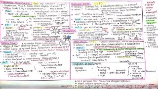 Flavivirus ssRNA [upl. by Aneeuqal988]