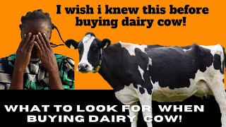 How to identify a good dairy cow  Dairy Farming in Kenya [upl. by Doughman234]