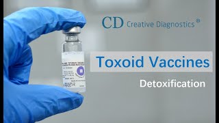 Toxoid Vaccines Detoxification [upl. by Engel]