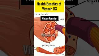 Amazing health benefits of Vitamin D3 [upl. by Eckel516]