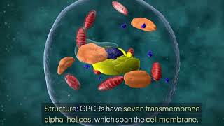 G PROTEIN COUPLED RECEPTORSANIMATION [upl. by Eicaj]