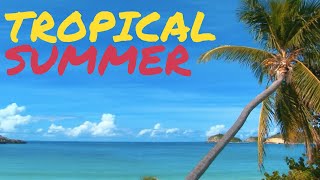 Tropical Summer Upbeat Background Music 1 Hour [upl. by Samaj]