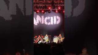 RANCID LIVE IN BOSTON 2023 shorts rancid punk [upl. by Sivad827]