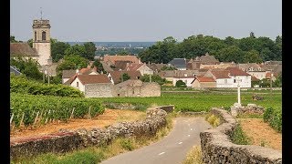 Places to see in  Beaune  France  Pommard [upl. by Seko752]