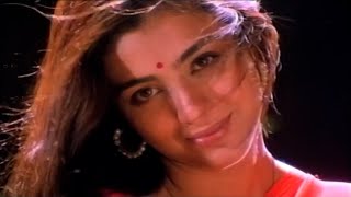 Yetovelli Poindi Manasu Full Video Song  Ninne Pelladatha Movie Songs  NagarjunaTabu [upl. by Narcissus]