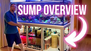 Full Tour  Dream Reef Sump and Filtration System [upl. by Skoorb]