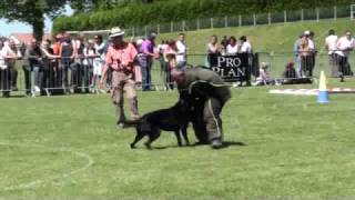 Beauceron Nationale d Elevage 2009 Ring 3 5 partie [upl. by Jerrilyn469]