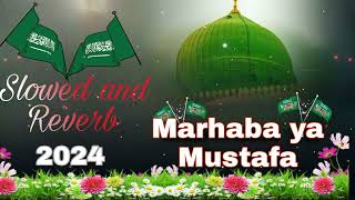 Miladunnabi special Marhaba ya Mustafa❣️ naatslowed reverb milad raza Qadri 2024 [upl. by Aisila]