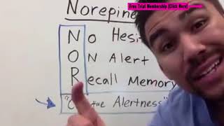 Psychiatric Pharmacology introduction norepinephrine dopamine serotonin part 1 of 30 [upl. by Stevenson24]