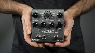 Source Audio Ventris Dual Reverb Demo Ambient Guitar Gear Review [upl. by Michaele]