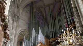 Stephansdom  Wien [upl. by Goran]