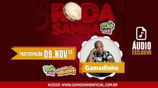 Gamadinho  Roda de Samba da FM O DIA  09112015 [upl. by Aver]