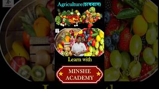 What are the different classifications of agriculture minsheacademy minshe geography [upl. by Korwin581]