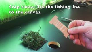 How to tie moss to your DIY moss ledge [upl. by Pollock898]