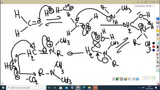 CHIMIE ORGANIQUE FONCTIONELLE S5chapitre1 les amines video4 [upl. by Aym404]