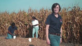 A Day in the Life of Scientist Laura Christianson  agronomist and water quality engineer [upl. by Adidnac]