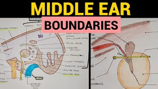 Middle Ear Anatomy  2  Boundaries [upl. by Constancia989]