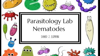 Parasitology Lab  Nematodes [upl. by Araas]