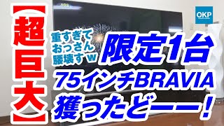 【楽天スーパーセール】限定1台の75インチ SONY BRAVIA ブラビアを半額でゲットできたので開封＆設置してみた！ [upl. by Siderf]